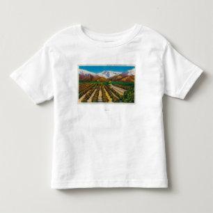 Camiseta De Bebé Montaña vieja de Baldy de las arboledas