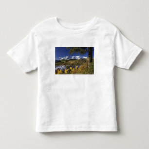 Camiseta De Bebé Montañas San Juan y árboles de Aspen en colorido o
