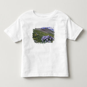 Camiseta De Bebé Montañas y flores silvestres en prado alpino, Azul