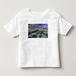 Camiseta De Bebé Montañas y flores silvestres en prados alpinos,