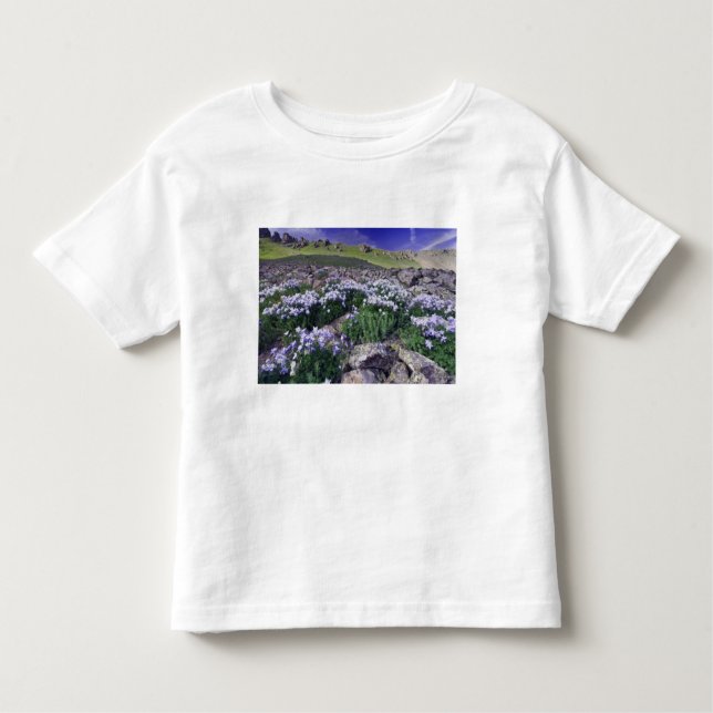 Camiseta De Bebé Montañas y flores silvestres en prados alpinos, (Anverso)