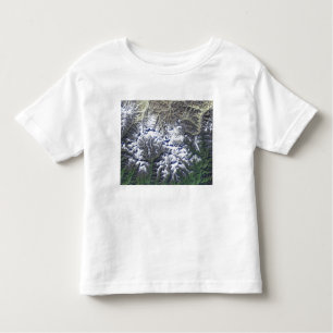 Camiseta De Bebé Monte Everest