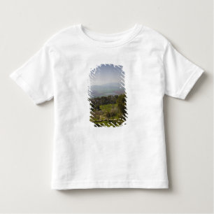 Camiseta De Bebé Monte Tabor, lugar de transfiguración bíblica