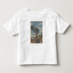 Camiseta De Bebé Monterey, CA - árbol viejo de la bruja en 17