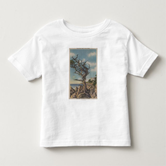 Camiseta De Bebé Monterey, CA - árbol viejo de la bruja en 17 (Anverso)