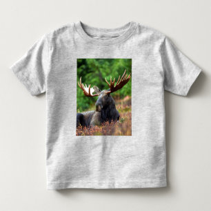 Camiseta De Bebé Moose Toddler T-Shirt