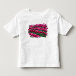 Camiseta De Bebé Mostrar jardín de bulbos de tulipanes de floración