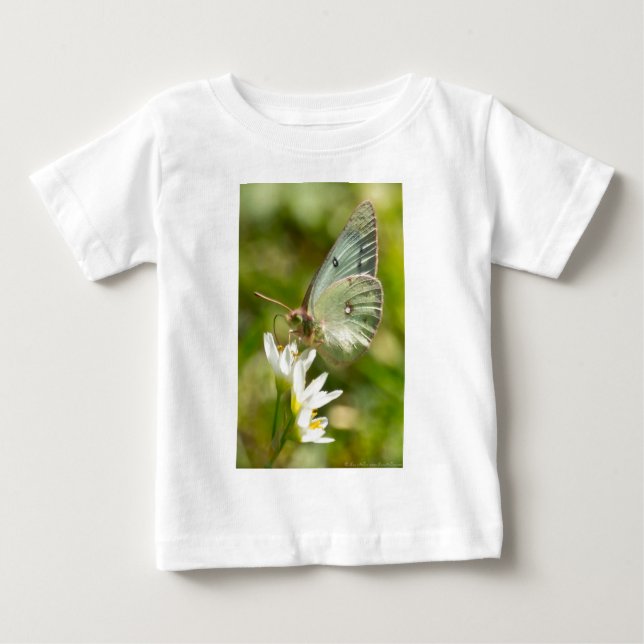 Camiseta De Bebé Moth verde sobre ropa y regalos falsos de ajo (Anverso)