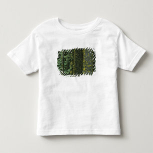 Camiseta De Bebé Mt. Ashland, Bosque Nacional Rogue RIver,