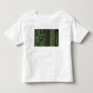 Camiseta De Bebé Mt. Ashland, Bosque Nacional Rogue RIver,