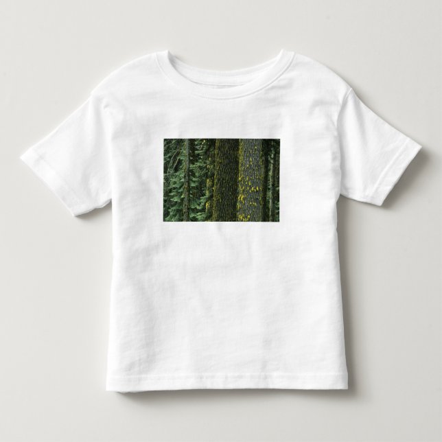 Camiseta De Bebé Mt. Ashland, Bosque Nacional Rogue RIver, (Anverso)