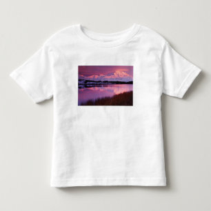 Camiseta De Bebé Mt. Denali al atardecer desde Reflection Pond