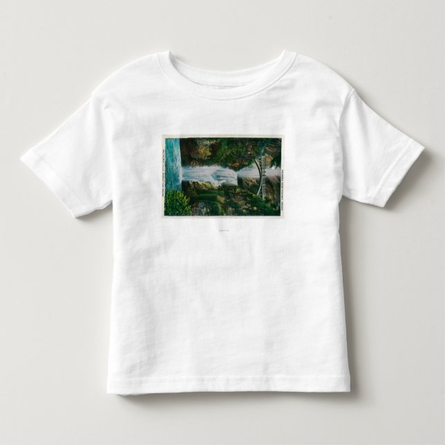 Camiseta De Bebé Multnomah cae en el río Columbia (Anverso)
