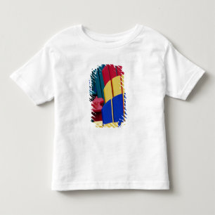 Camiseta De Bebé N.A. Canadá, Nueva Escocia, Bridgewater. Colorido