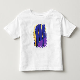 Camiseta De Bebé N.A. Canadá, Nueva Escocia, Bridgewater. Colorido