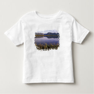 Camiseta De Bebé N.A., Canadá, Terranova, Gros Morne National