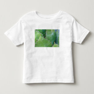 Camiseta De Bebé N.A., EE. UU., Arizona, Tucson, Desierto de Sonora