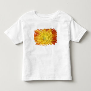 Camiseta De Bebé N.A., EE. UU., Arizona, Tucson, Desierto de Sonora
