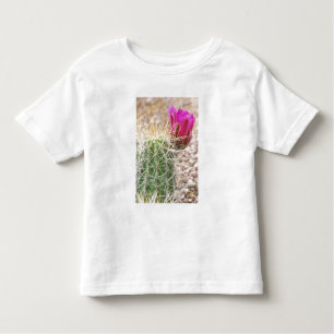 Camiseta De Bebé N.A., EE.UU., AZ, Phoenix, Desert Botanical