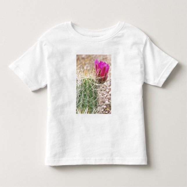 Camiseta De Bebé N.A., EE.UU., AZ, Phoenix, Desert Botanical (Anverso)