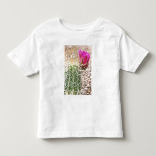Camiseta De Bebé N.A., EE. UU., AZ, Phoenix, Desierto Botánico