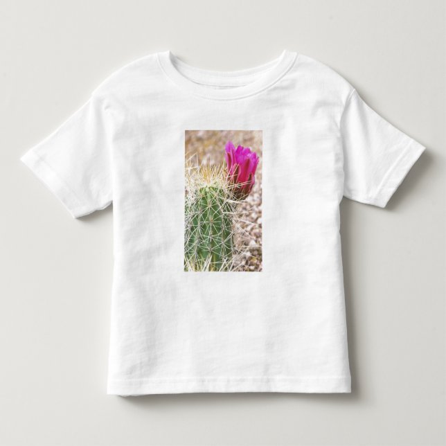 Camiseta De Bebé N.A., EE. UU., AZ, Phoenix, Desierto Botánico (Anverso)