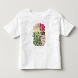 Camiseta De Bebé N.A., EE. UU., AZ, Phoenix, Desierto Botánico
