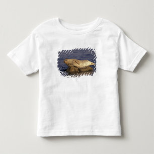 Camiseta De Bebé N.A., EE. UU., California, Monterey. Foca común