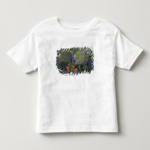 Camiseta De Bebé N.A., EE. UU., Texas, Cactus rodeado de