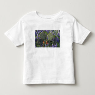 Camiseta De Bebé N.A., EE. UU., Texas, Cactus rodeado de
