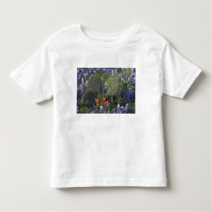 Camiseta De Bebé N.A., EE.UU., Texas, Cactus rodeado por