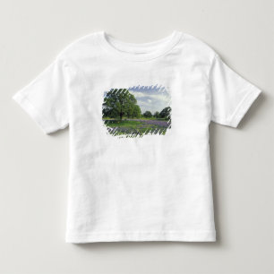 Camiseta De Bebé N.A, EE. UU., Texas, lago Buchanan, robles y azul