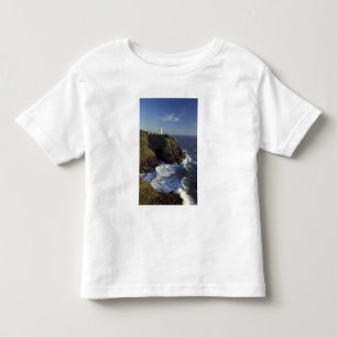 Camiseta De Bebé N.A., EE. UU., Washington, Cape Disappointment Sta