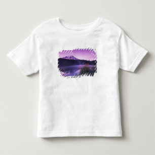 Camiseta De Bebé N.A., EE. UU., Washington, Mt. Rainier Nacional