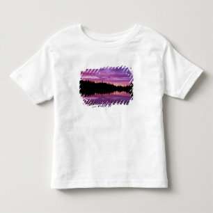 Camiseta De Bebé N.A., EE. UU., Washington, Mt. Rainier Nacional 2