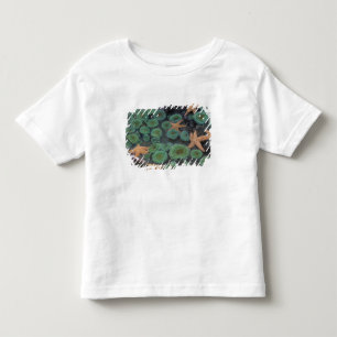 Camiseta De Bebé N.A., EE. UU., Washington, Parque Nacional Olímpic