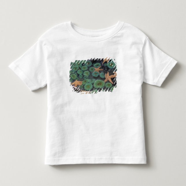 Camiseta De Bebé N.A., EE. UU., Washington, Parque Nacional Olímpic (Anverso)