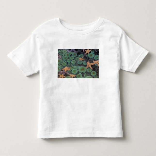 Camiseta De Bebé N.A., EE. UU., Washington, Parque Nacional Olímpic (Anverso)