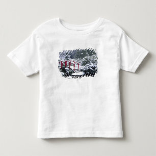 Camiseta De Bebé N.A., EE. UU., Washington, Seattle. Puente lunar e