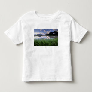 Camiseta De Bebé NA, Canadá, Alberta, Tonquin Valley. Jasper