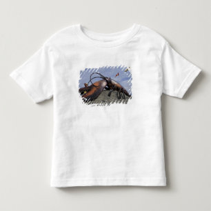Camiseta De Bebé NA, Canadá, Nuevo Brunswick, Shediak, del mundo