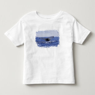Camiseta De Bebé NA, Canadá, Terranova, Bahía de la Trinidad. Jorob