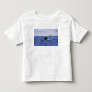Camiseta De Bebé NA, Canadá, Terranova, bahía de Trinity. Yubarta