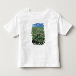 Camiseta De Bebé NA, EE.UU., Alaska, Isla Aleutiana, Escenario con