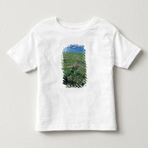 Camiseta De Bebé NA, EE. UU., Alaska, Isla Aleutiana, Escénico con