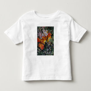 Camiseta De Bebé NA, EE. UU., Alaska. Parque Nacional Denali. Gayub