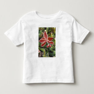 Camiseta De Bebé NA, EE. UU., Alaska. Parque Nacional Denali, Wonde