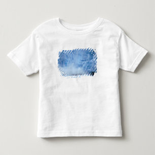Camiseta De Bebé NA, EE. UU., Alaska, sureste de Alaska, Tracy Arm,