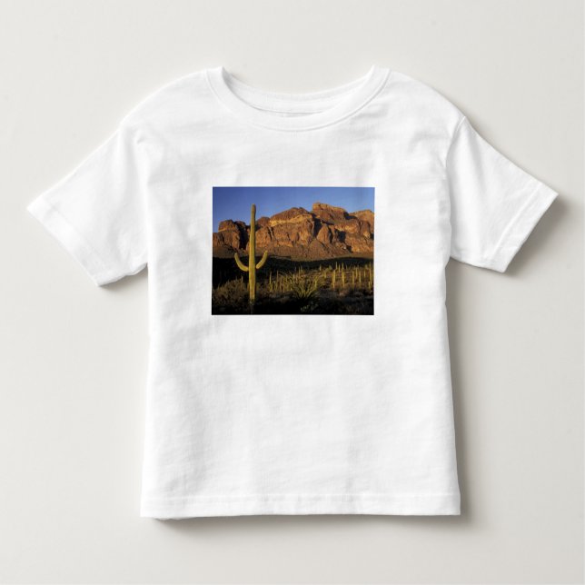 Camiseta De Bebé NA, EE.UU., Arizona. Cactus National 2 (Anverso)