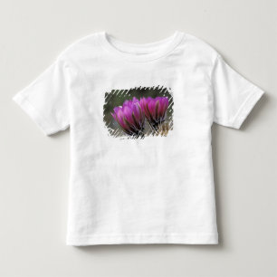 Camiseta De Bebé NA, EE. UU., Arizona, Desierto de Sonora. Erizo